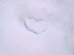 Srdíčková stopa ve sněhu.
